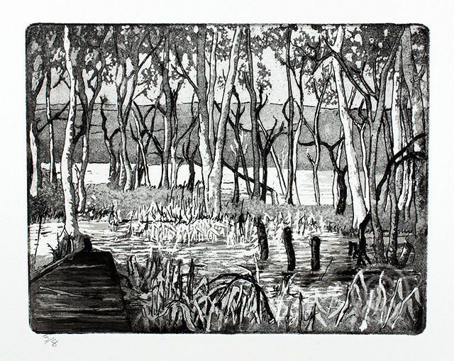 Magnetic islans swamp - Ruth de Monchaux
