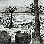 Winter lake -ruth demonchaux