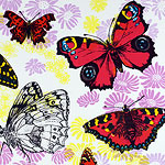 Butterflies screnprint by Ruth deMonchaux